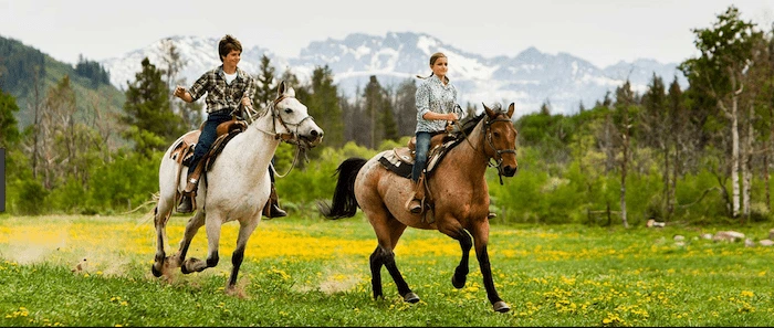 Confident plus-size woman riding Bury a horse through a field with a smile on her face.